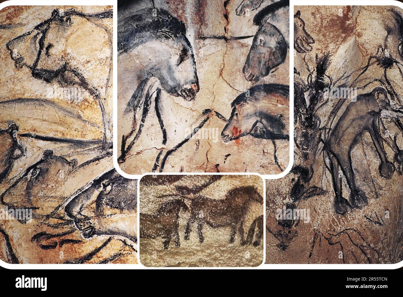 L'art mural paléolithique de la célèbre Grotte Chauvet en France est l'un des plus importants sites préhistoriques européens. Banque D'Images