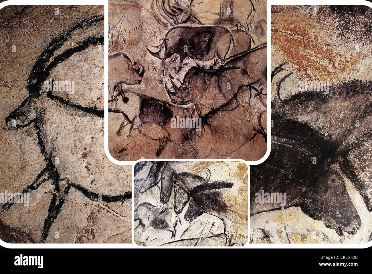 L'art mural paléolithique de la célèbre Grotte Chauvet en France est l'un des plus importants sites préhistoriques européens. Banque D'Images