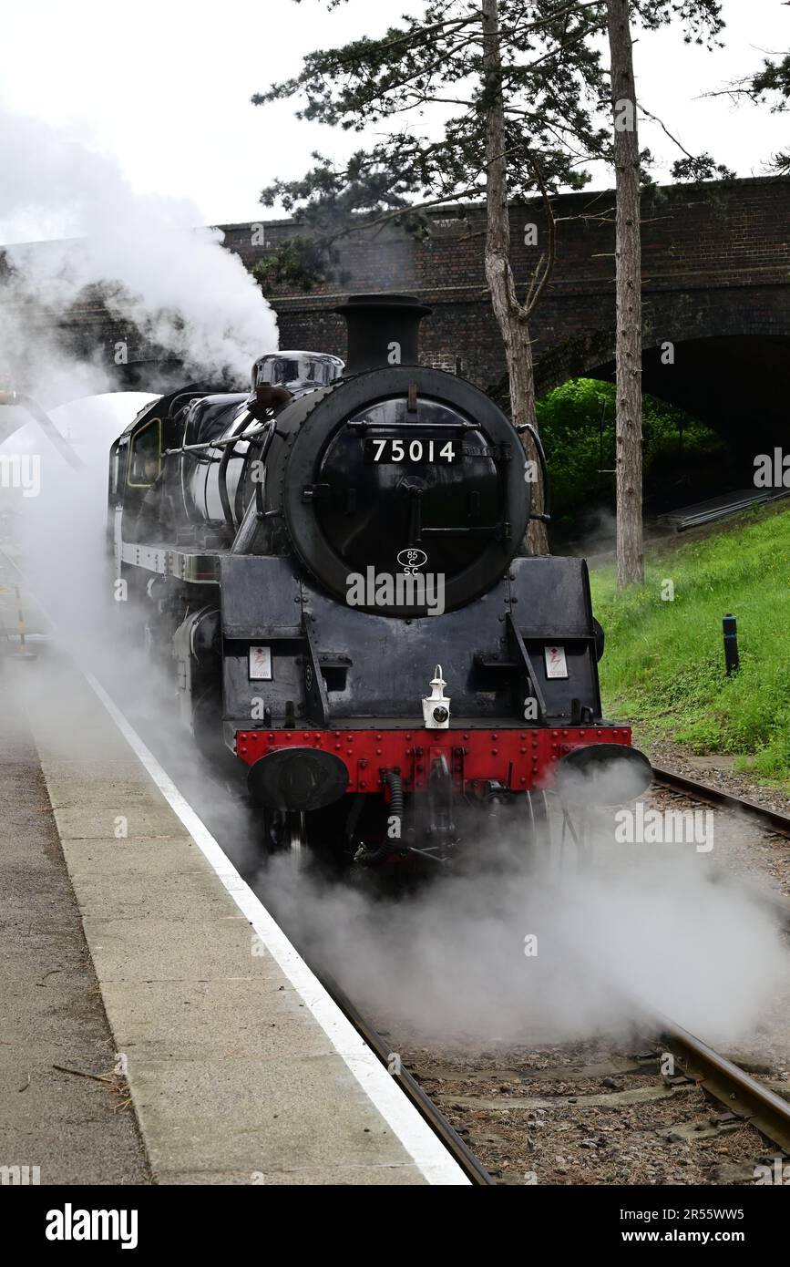 Visite de la BR classe standard 4 No 75014 Braveheart prendre de l'eau à la station de Cheltenham Racecourse pendant le GWSR Cotswold Festival of Steam 2023. Banque D'Images