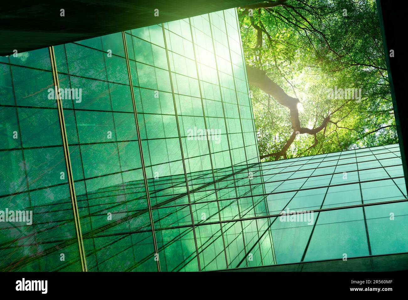 Bâtiment vert durable. Bâtiment écologique dans une ville moderne. ESG. Bâtiment de bureau en verre durable avec arbre vert. Bureau dans un environnement écologique Banque D'Images