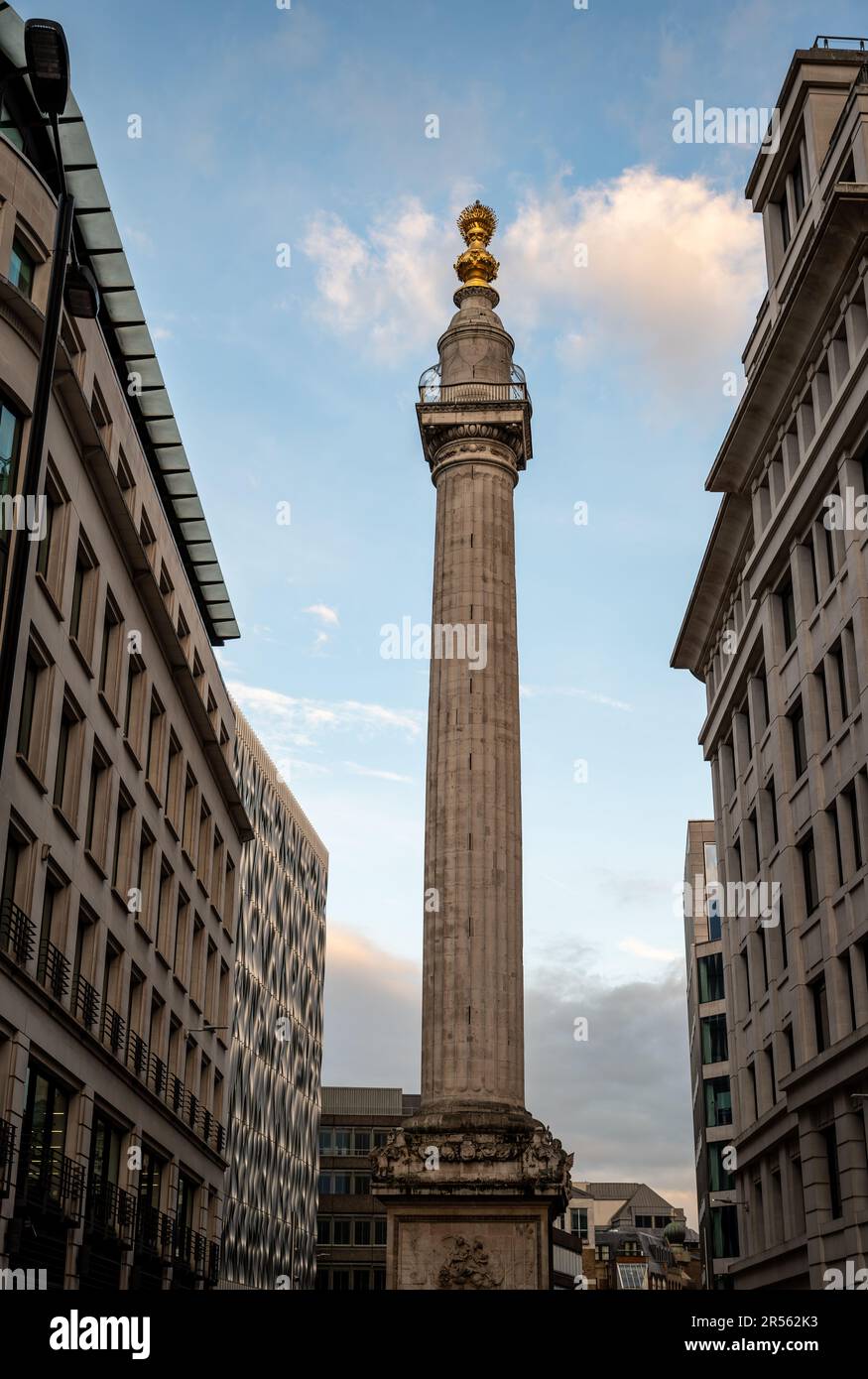 Londres, Royaume-Uni: Le Monument au Grand incendie de Londres ou simplement le Monument est une colonne dorique située dans la ville de Londres. Banque D'Images