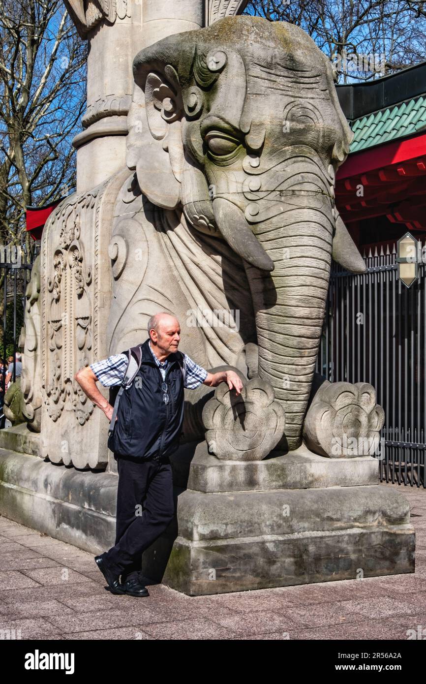 Entrée au zoo, un homme âgé se trouve à côté de la sculpture d'éléphants grandeur nature, Budaapester strasse, Tiergarten, Mitte, Berlin Banque D'Images