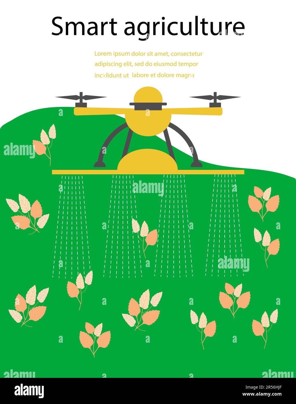 Un drone agricole vole pour vaporiser de l'eau d'engrais ou de l'holmone sur le terrain. Illustration vectorielle robotique agricole intelligente. Technologie agricole. Automobile de la ferme Illustration de Vecteur