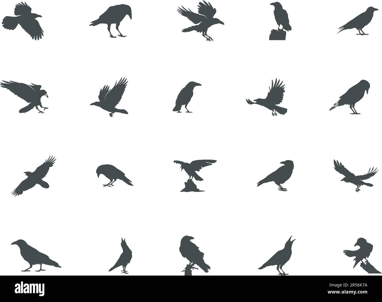 Silhouette Raven, silhouette Crow, silhouette Crow et Raven, illustration vectorielle Crow Illustration de Vecteur