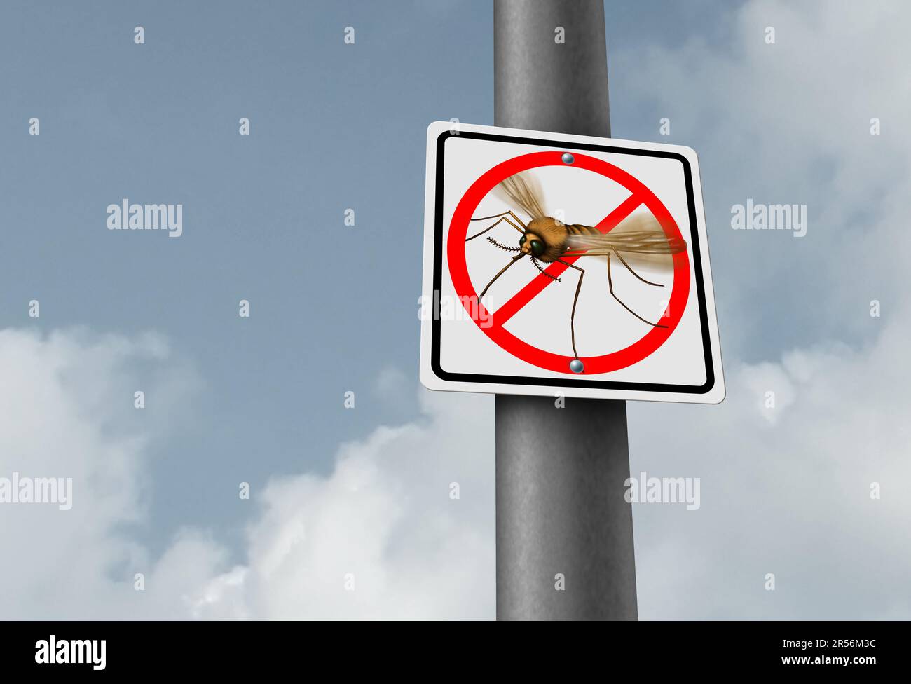Pas de moustiques et de moustiques risque de moustiques en plein air transmettant des infections nuisibles comme le paludisme et le virus zika comme un symbole d'insecte de la maladie Banque D'Images Pas de moustiques et de moustiques risque de moustiques en plein air transmettant des infections nuisibles comme le paludisme et le virus zika comme un symbole d'insecte de la maladie Banque D'Images