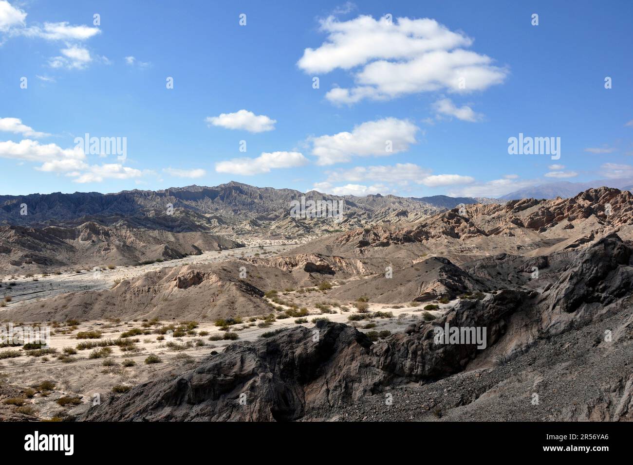 Argentine. Région de Salta. Ruta 40 Quebrada de las fiechas Banque D'Images