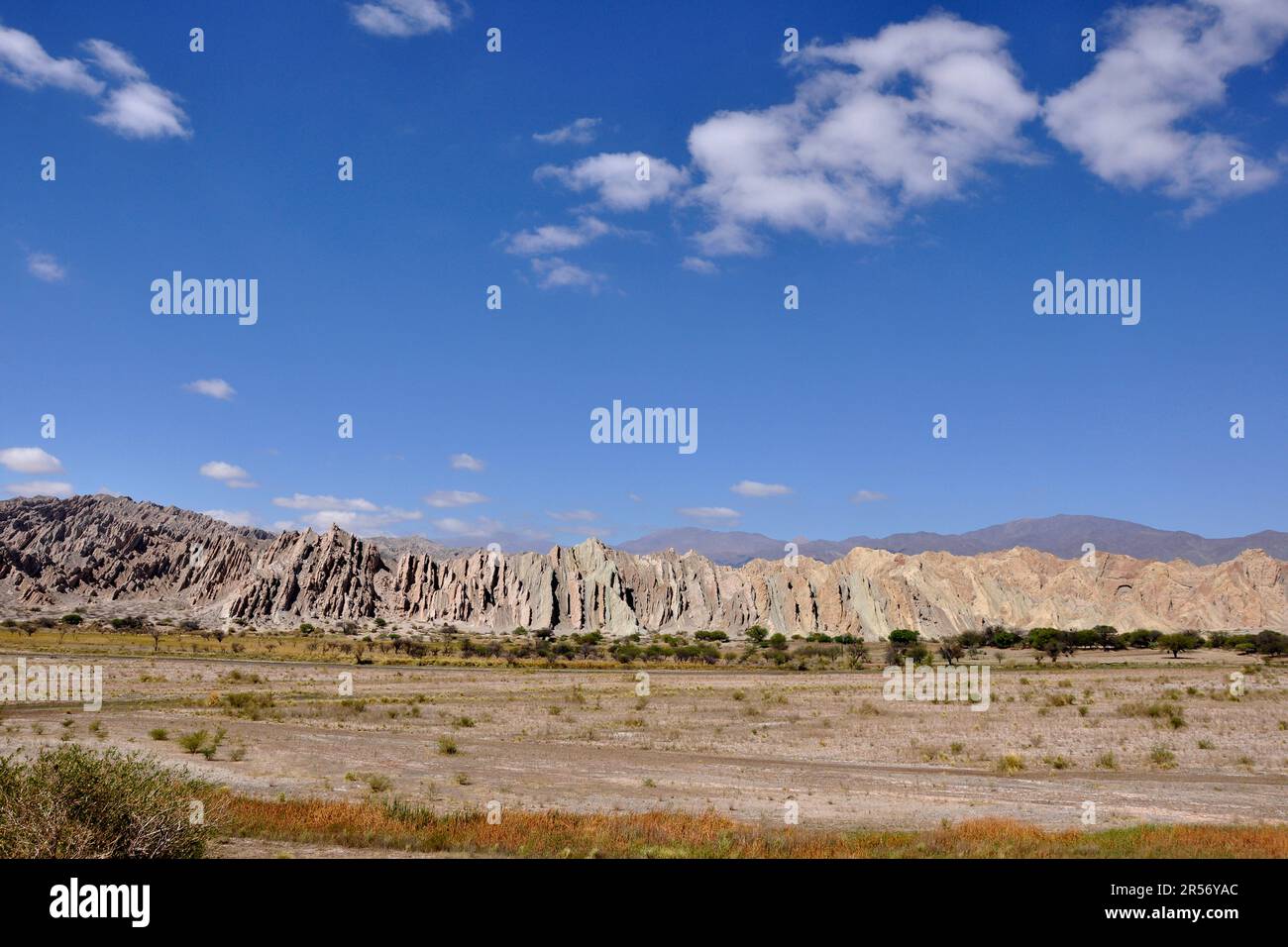 Argentine. Région de Salta. Ruta 40 Quebrada de las fiechas Banque D'Images