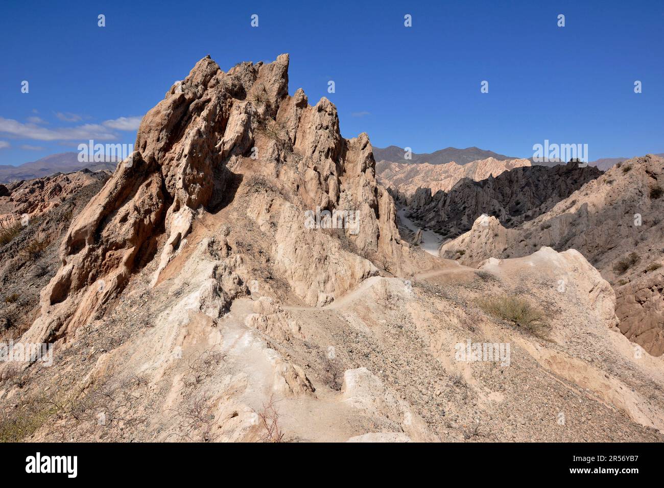 Argentine. Région de Salta. Ruta 40 Quebrada de las fiechas Banque D'Images