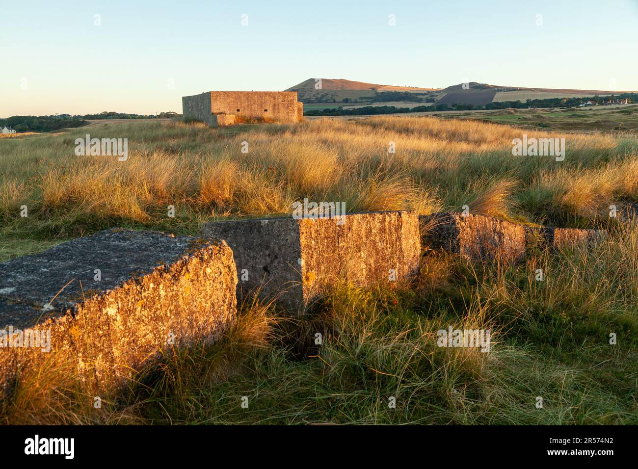 Lever du soleil au Scottish Wildlife Trust Dumbarnie relie la réserve naturelle près de Largo, Fife, Écosse Banque D'Images