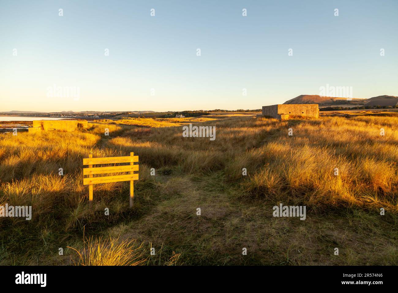 Lever du soleil au Scottish Wildlife Trust Dumbarnie relie la réserve naturelle près de Largo, Fife, Écosse Banque D'Images