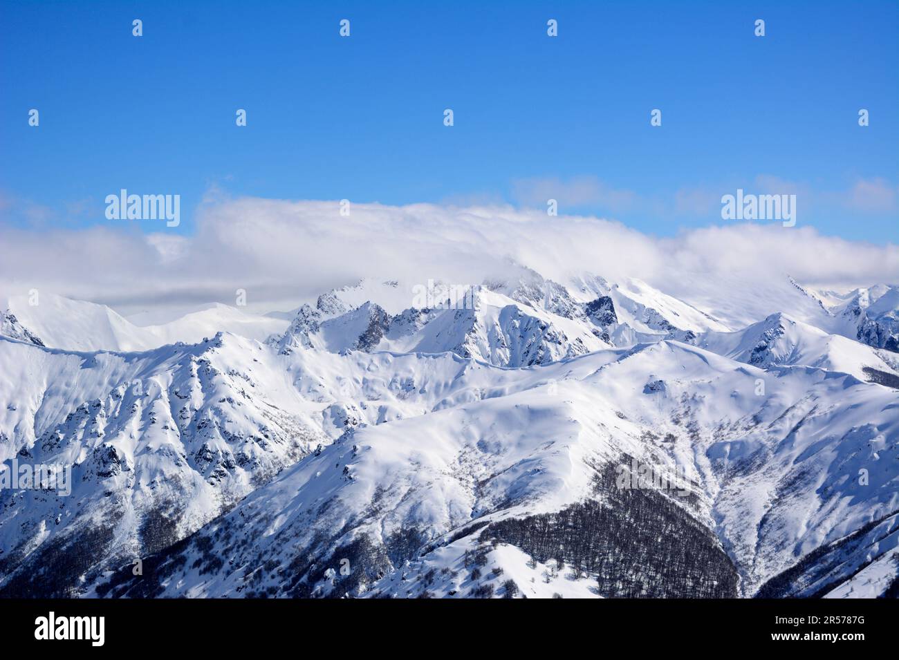 Montagne enneigée et forêt à Bariloche, en Argentine Banque D'Images