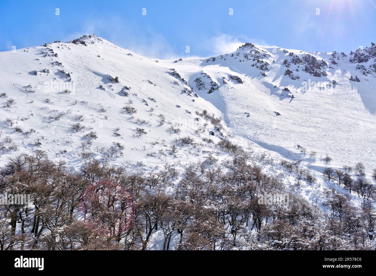 Montagne enneigée et forêt à Bariloche, en Argentine Banque D'Images