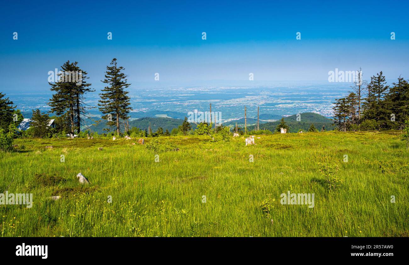 Vue de la montagne Hornisgrinde sur la haute lande dans la vallée du Rhin jusqu'à la ville d'Achern. Baden Wuerttemberg, Allemagne, Europe Banque D'Images