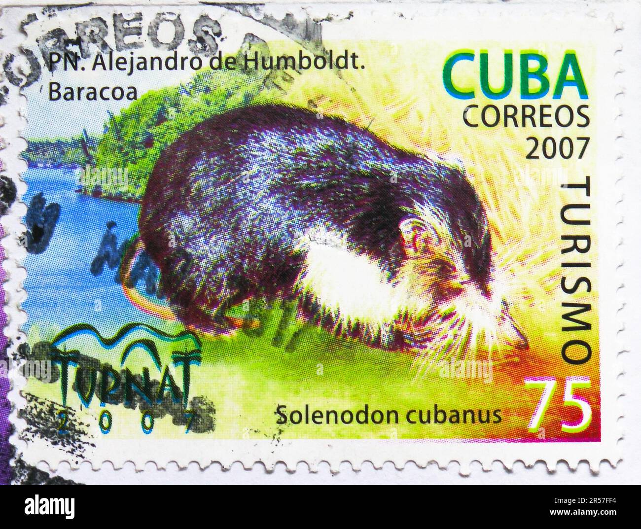 MOSCOU, RUSSIE - 17 MAI 2023 : le timbre-poste imprimé à Cuba montre le Solenodon cubain (Solenodon cubanus), Tourisme, série d'animaux, vers 2007 Banque D'Images