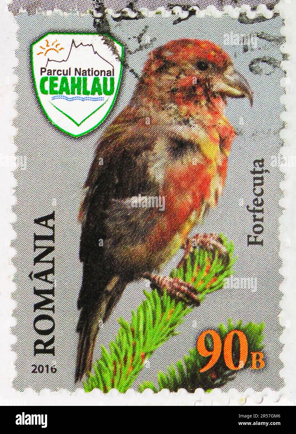 MOSCOU, RUSSIE - 17 MAI 2023: Timbre-poste imprimé en Roumanie montre Red Crossbill (Loxia curvirostra), Love nature! Parc national de Ceahlau série, cir Banque D'Images