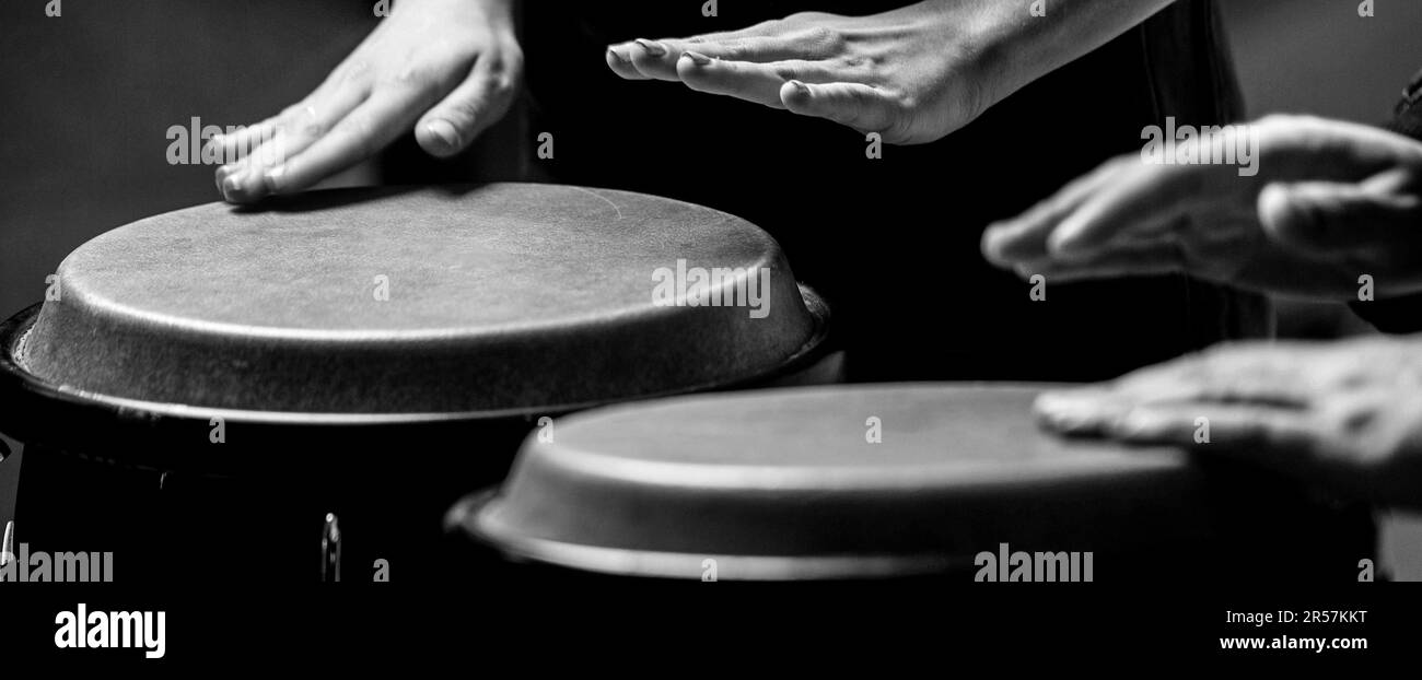 Gros plan du musicien jouant de la main des bongos tambours. Le musicien joue le bongo. Afro Cuba, rhum, batteur, doigts, main, appuyez sur. Noir et blanc Banque D'Images