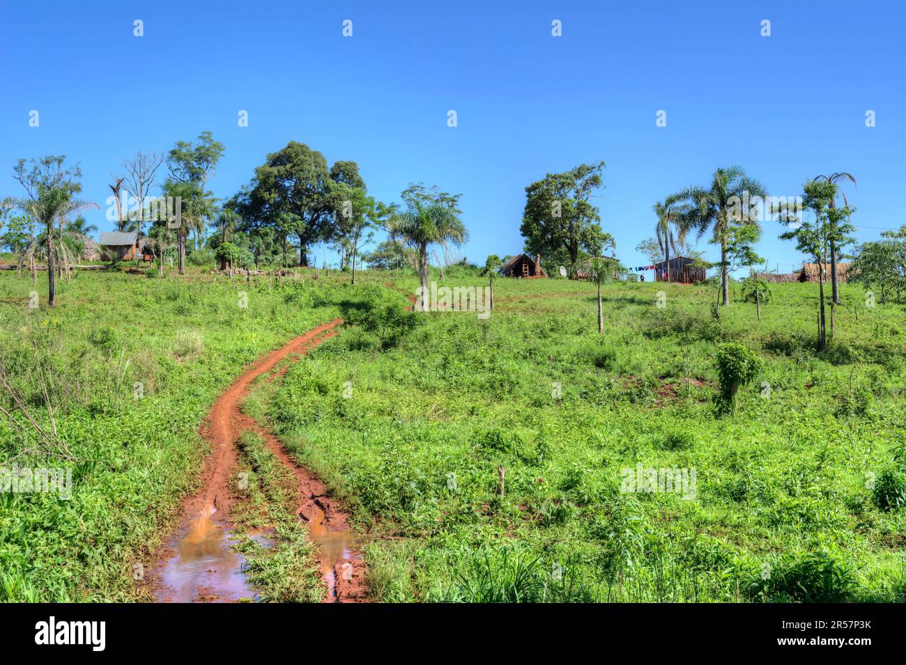 Comunidad aborigen jejy miri à Misiones, Argentine Banque D'Images