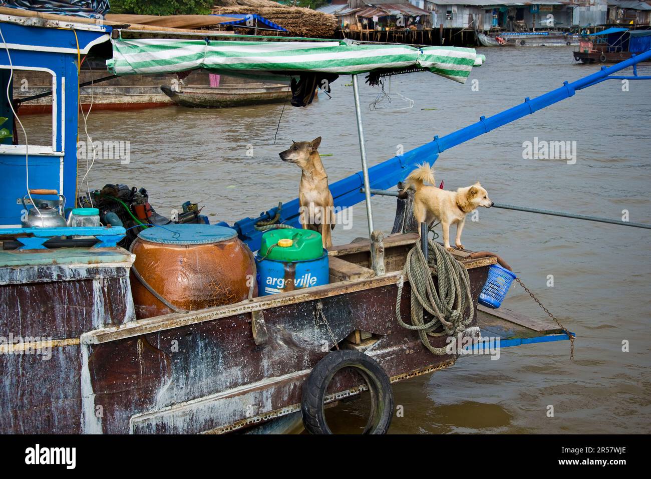 Marché flottant. Rang. CAI Delta du Mékong. Vietnam Banque D'Images