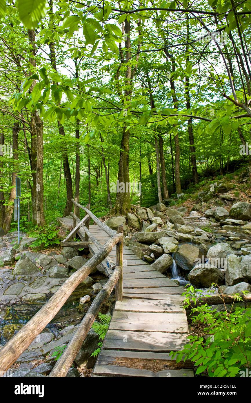 Lastezzo. Vallée de Verzasca. Canton Tessin. Suisse Banque D'Images