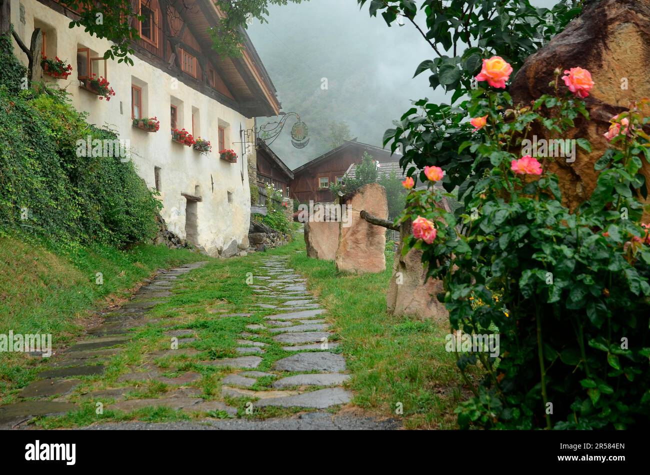 Propriété rurale dans le Tyrol du Sud dans la vallée de Schnals, ferme de montagne Banque D'Images