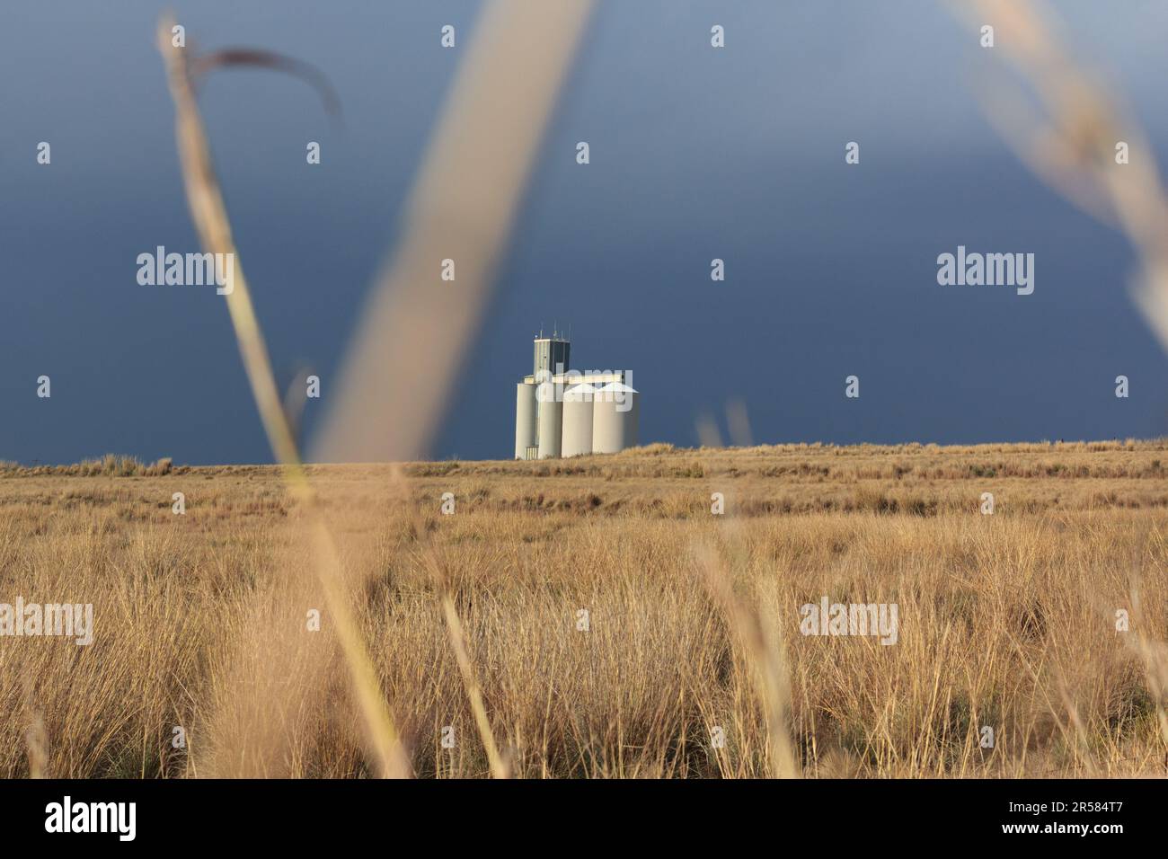 Un silo de céréales photographié dans la province de l'État libre d'Afrique du Sud quelques instants avant un orage sur le front froid. Banque D'Images