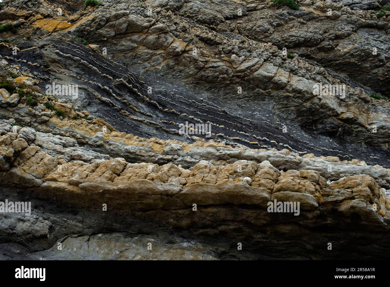Détail de la stratification rythmique des roches sédimentaires d'une falaise déposées en couches horizontales. Broken Coast of Liencres, Cantabrie, Espagne. Banque D'Images