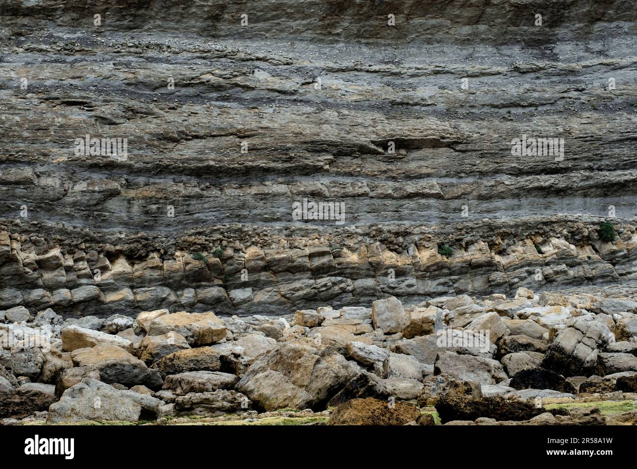 Stratification rythmique des roches sédimentaires déposées en couches horizontales. Broken Coast of Liencres, Cantabrie, Espagne. Banque D'Images