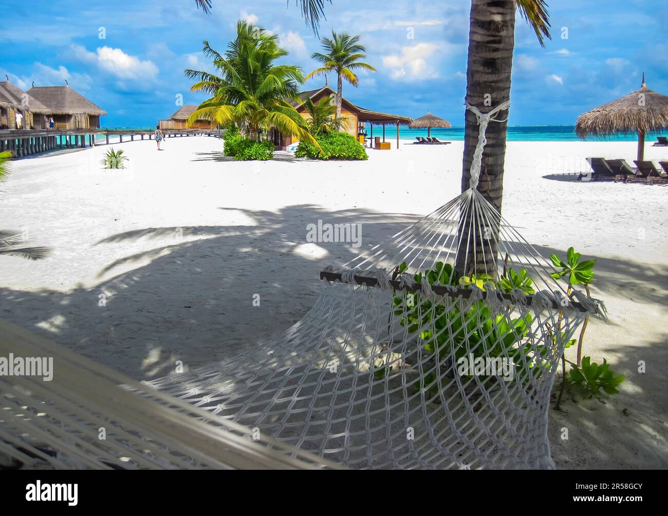 Concept de voyage avec un hamac dans une plage tropicale avec de l'eau turquoise en arrière-plan. Banque D'Images