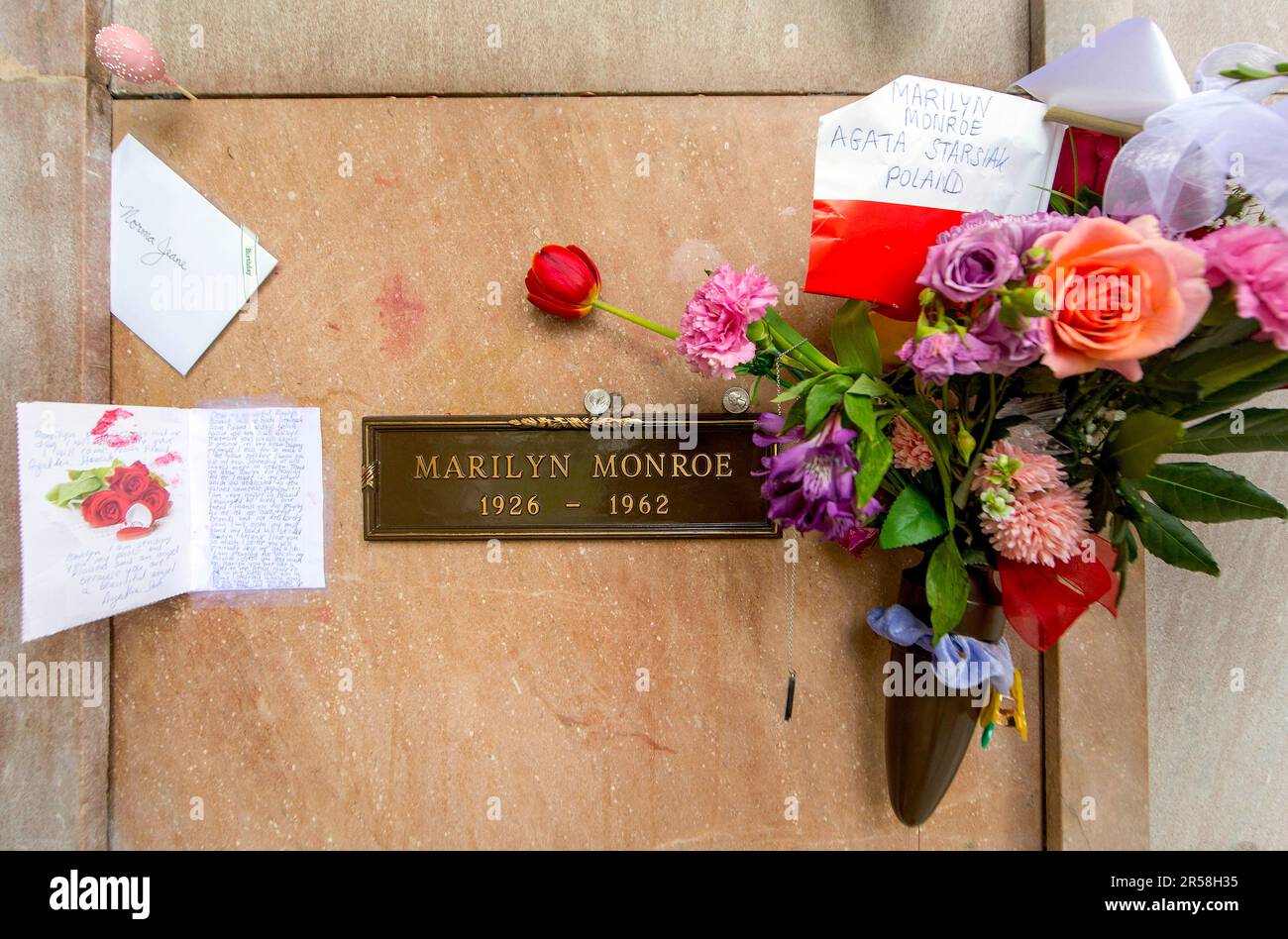 1 juin 2023, Los Angeles, Californie, États-Unis : les fans visitent le parc commémoratif et la morgue du village de Westwood, frères Pierce, pour laisser des fleurs et des souvenirs à la crypte de la légende hollywoodienne Marilyn Monroe, qui aurait eu 97 ans aujourd'hui. (Credit image: © Brian Cahn/ZUMA Press Wire) USAGE ÉDITORIAL SEULEMENT! Non destiné À un usage commercial ! Banque D'Images