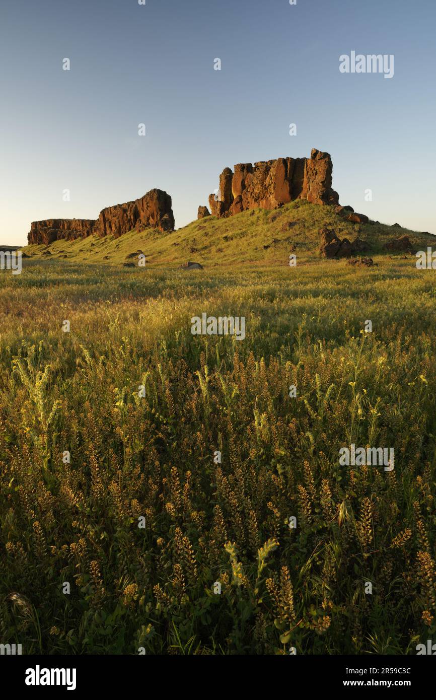 Basalt butte s'élevant au-dessus des prairies du désert au coucher du soleil, zone de faune des lacs de mer, Washington, États-Unis Banque D'Images