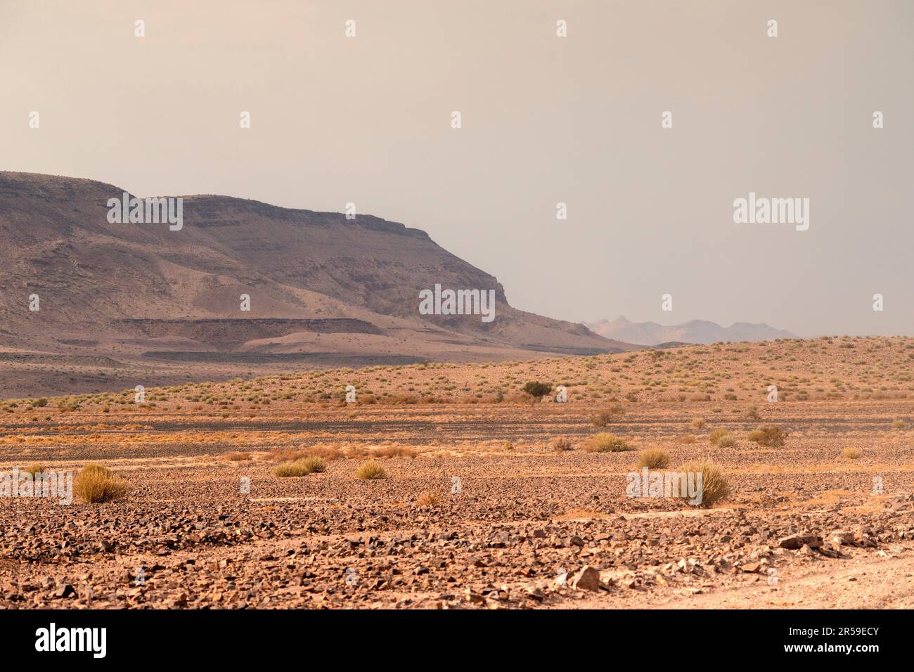 Paysage désertique avec des montagnes lointaines par saison sèche en Namibie Banque D'Images