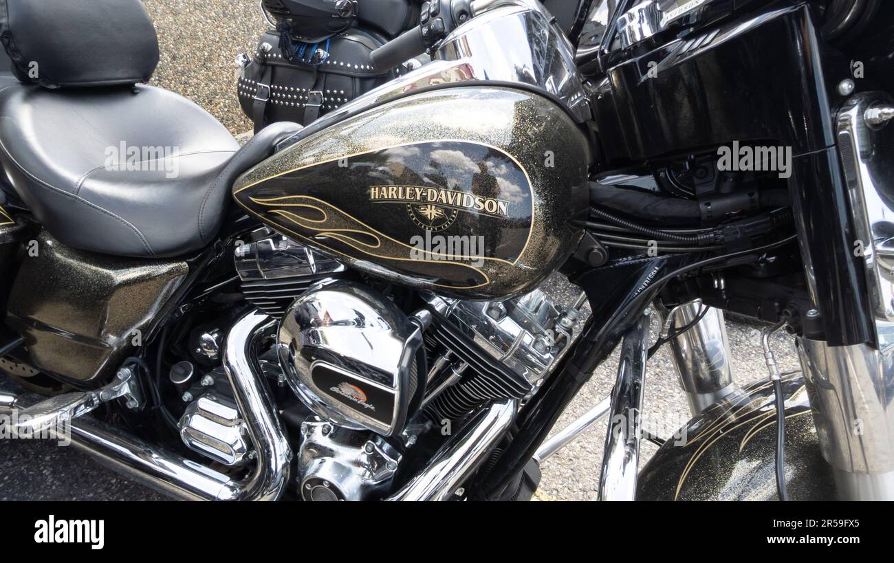 Bordeaux , Aquitaine France - 05 29 2023 : logo de la marque harley davidson et texte du signe sur réservoir doré de moto moderne personnalisée américaine Banque D'Images