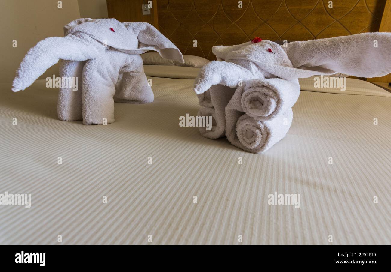 deux éléphants mado de serviettes blanches sur un lit d'une chambre d'hôtel à egpyt Banque D'Images