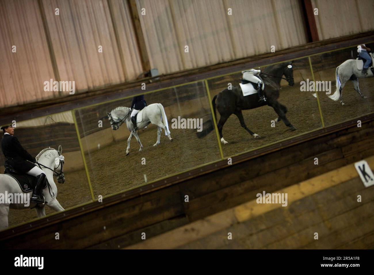 Les cavaliers de dressage se réchauffent avec leurs chevaux dans le ring intérieur lors du spectacle de dressage Parkside à Alpine Farms à Medina, Minnesota. Banque D'Images
