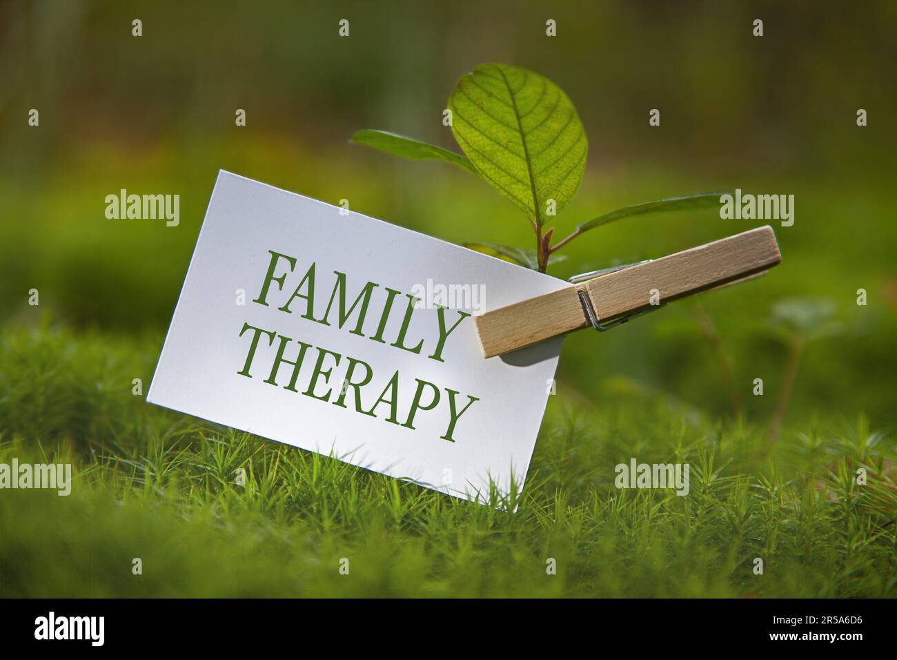 plantule sur un pré avec un morceau de papier lettrage thérapie familiale Banque D'Images