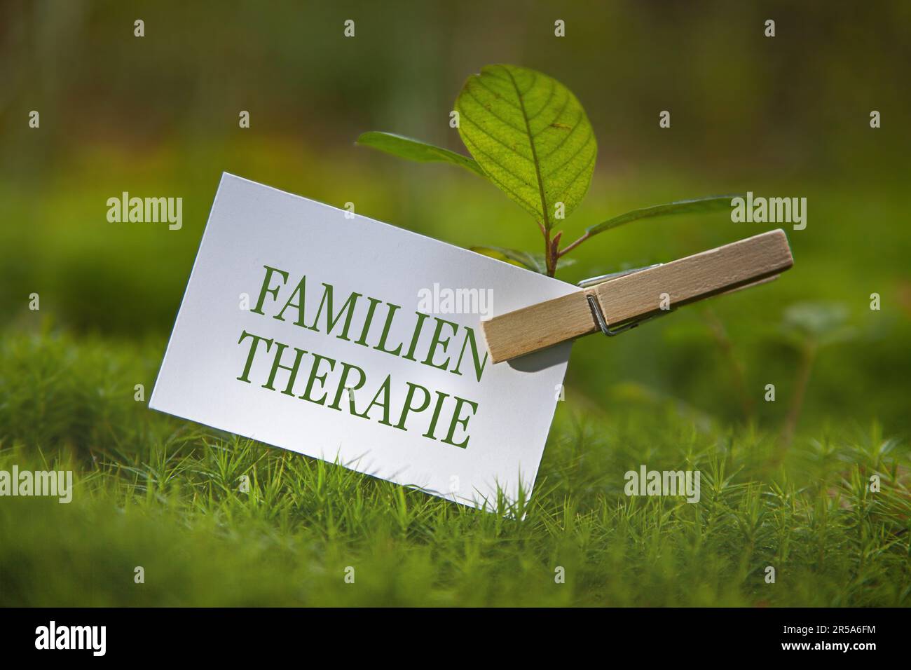 Plantule sur un pré avec un morceau de papier lettrage Familientherapie, thérapie familiale Banque D'Images