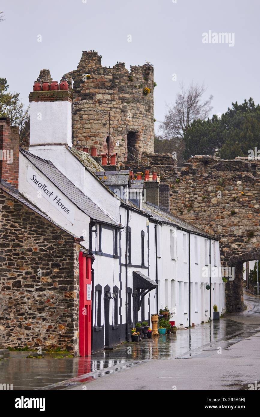 Attraction touristique Conwy la plus petite maison en Grande-Bretagne des maisons en terrasse sur le quai de Conwy au nord du pays de Galles Banque D'Images