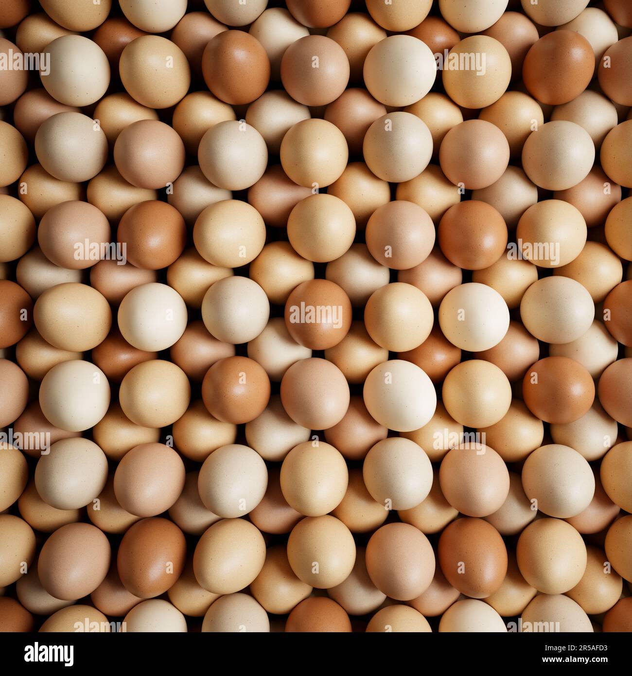 Vue de dessus d'une abondance d'œufs de poule frais et sains dans différentes nuances de coquillages disposés soigneusement dans un carton d'oeufs, parfait pour un délicieux timbre Banque D'Images