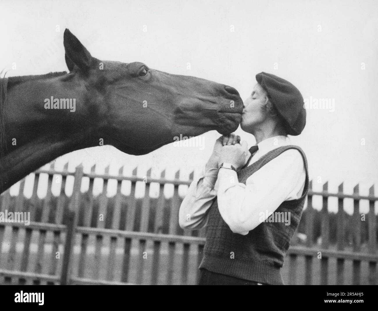 Chevaux bisous Banque de photographies et d’images à haute résolution Alamy
