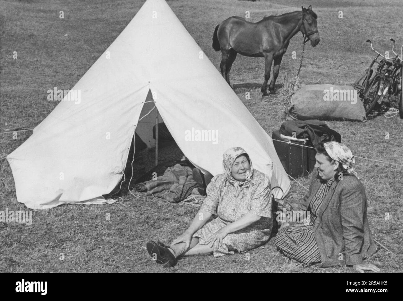 Camping dans le 1940s. Les deux femmes âgées campent à proximité du marché de Kivik, un événement annuel. Ils sont assis devant leur tente avec leur cheval en arrière-plan mangeant le foin d'un haysac. Suède 22 juillet 1946. Banque D'Images