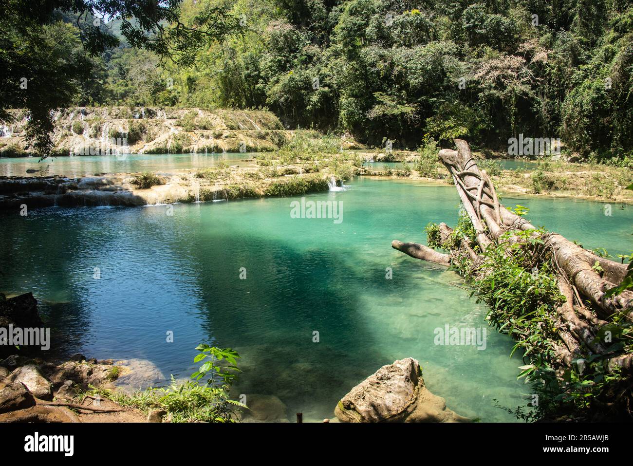 Magnifiques cascades et piscines à Semuc Champey, Rio Cabohon, Lanquin, Alta Verapaz, Guatemala Banque D'Images