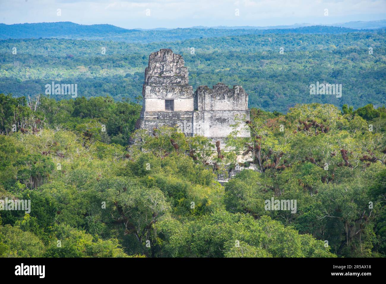 Le Temple I s'élève au-dessus de la jungle au parc national de Tikal, Petén, Guatemala Banque D'Images