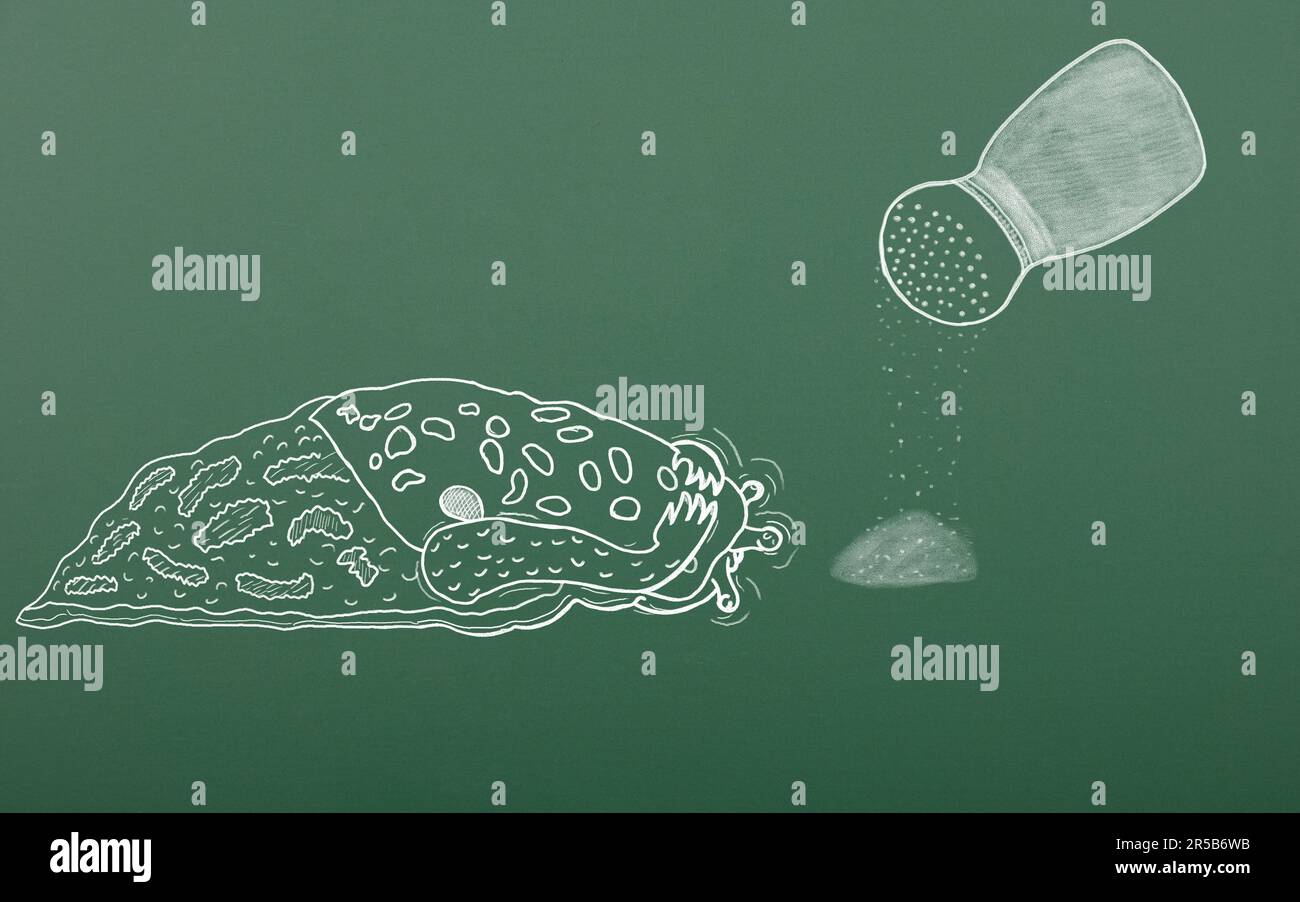 Craie dessin d'escargot de léopard terrifié attendant la mort du sel. Sur fond de planche scolaire. Concept de lutte antiparasitaire Banque D'Images