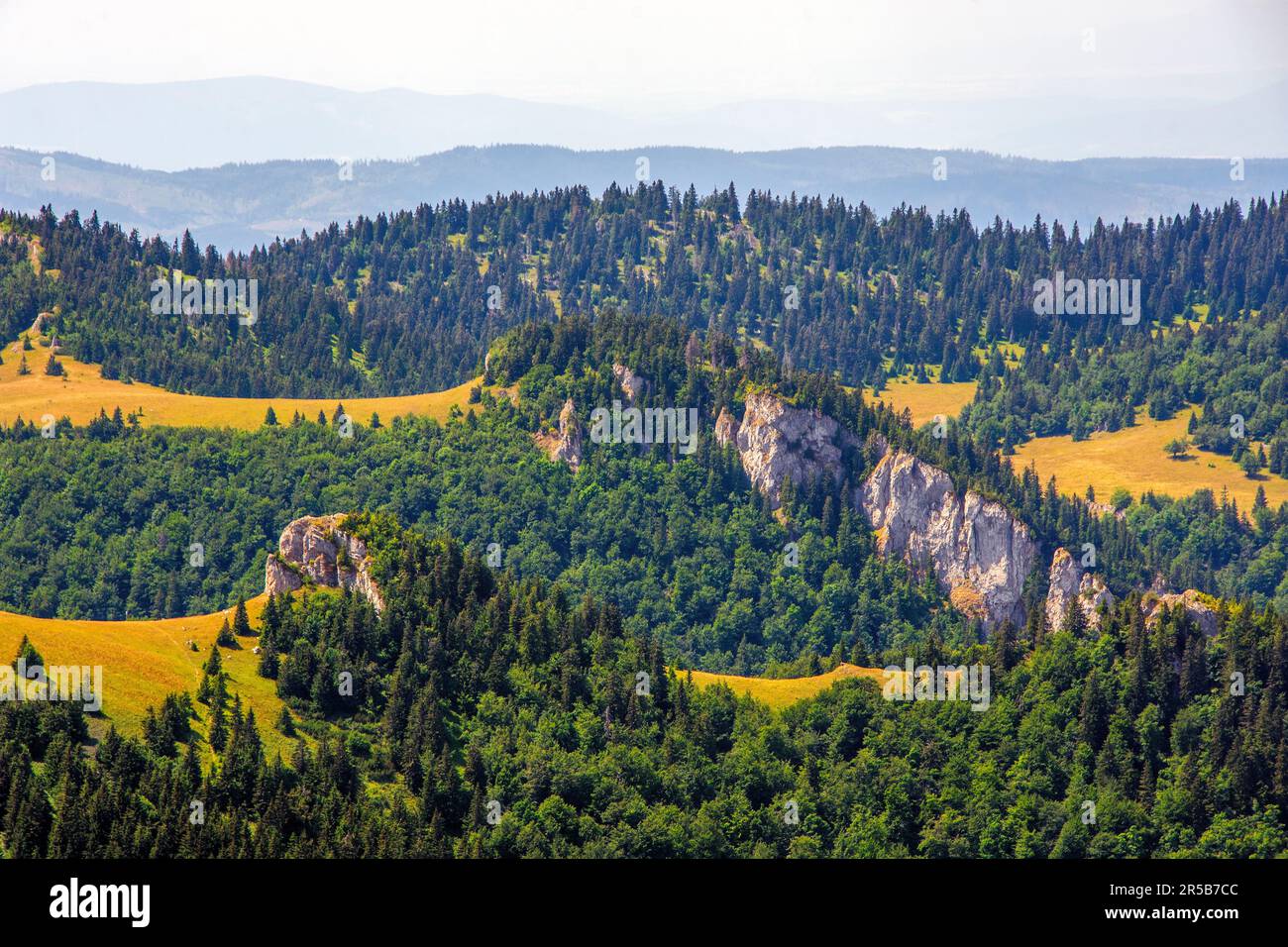 Vue panoramique sur les collines jaunâtres et les bois verdoyants. Les montagnes de Big Fatra, Slovaquie. Banque D'Images Vue panoramique sur les collines jaunâtres et les bois verdoyants. Les montagnes de Big Fatra, Slovaquie. Banque D'Images