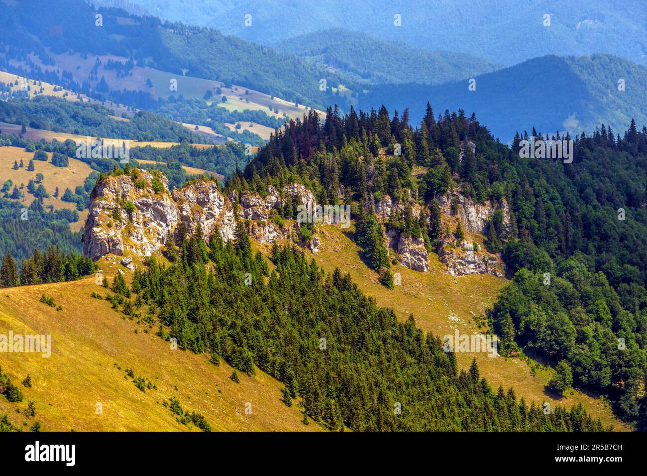 Une vue panoramique sur une pente jaunâtre avec des bois verdoyants. Les montagnes de Big Fatra, Slovaquie. Banque D'Images Une vue panoramique sur une pente jaunâtre avec des bois verdoyants. Les montagnes de Big Fatra, Slovaquie. Banque D'Images