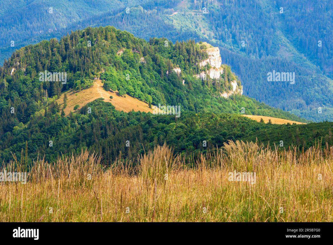 Une vue panoramique sur une colline avec des forêts verdoyantes. Les montagnes de Big Fatra, Slovaquie. Banque D'Images Une vue panoramique sur une colline avec des forêts verdoyantes. Les montagnes de Big Fatra, Slovaquie. Banque D'Images