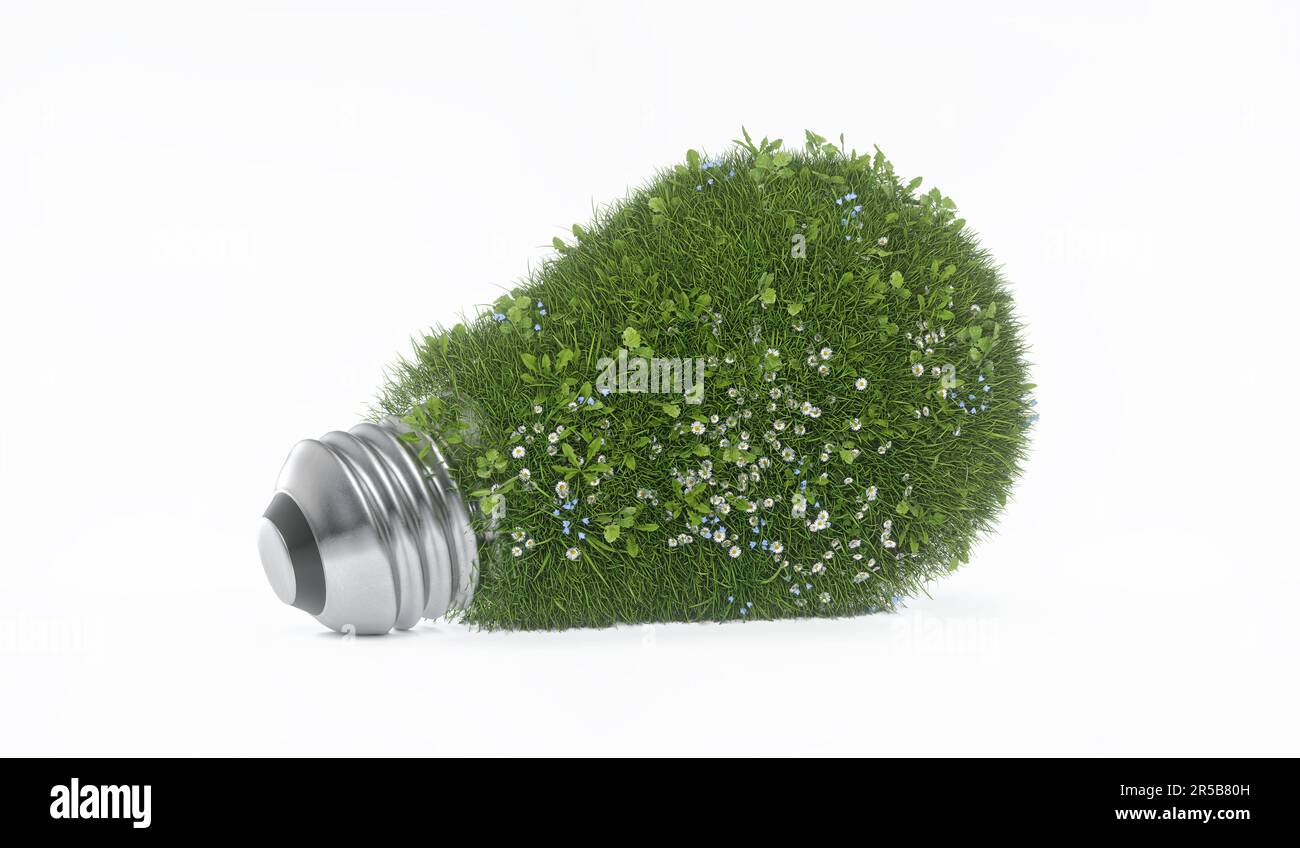 Ampoule. Herbe, fleurs, écologique, concept d'énergie verte. Rendu 3D. Isolé sur fond blanc Banque D'Images