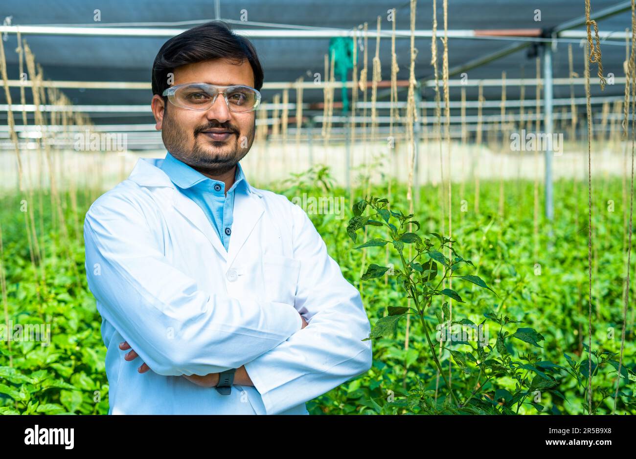 Agro-scientifique indien à Green House avec confiance en regardant la caméra - concept de biotechnologie, expertise et succès Banque D'Images