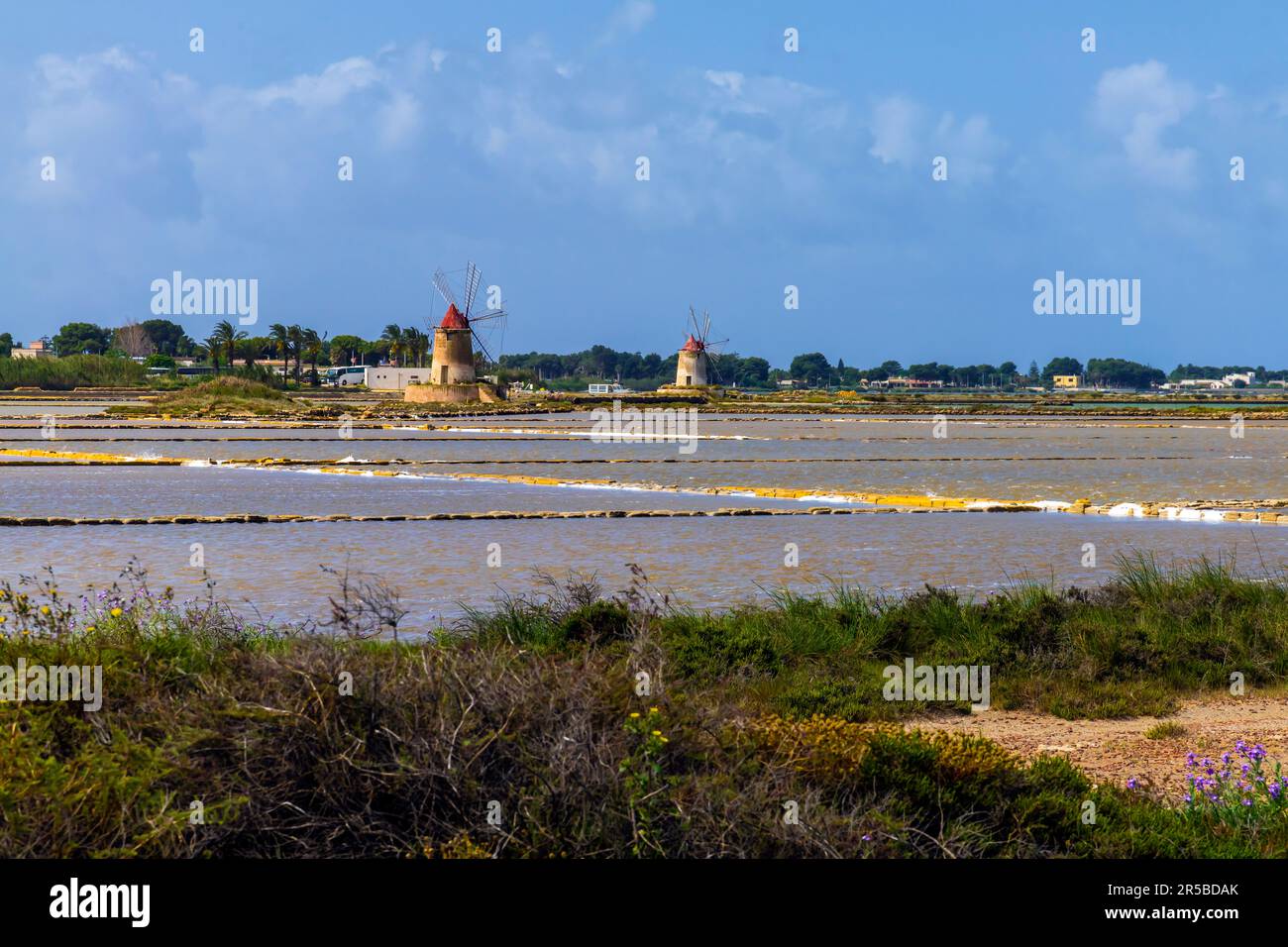 Saline di Trapani et Paceco Saline di Trapani e Paceco est une réserve naturelle italienne dans la province de Trapani entre les municipalités de Trapani Banque D'Images