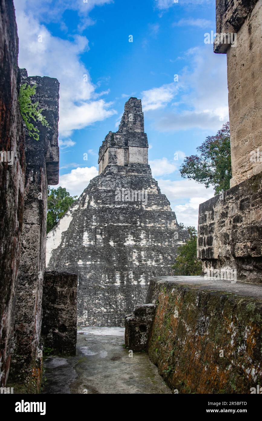 Ruines de Tikal au parc national de Tikal, Petén, Guatemala Banque D'Images